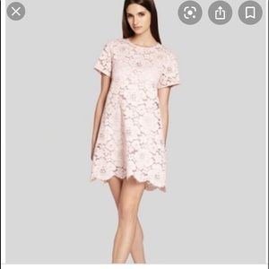 Bcbgmaxazria blush pink babydoll lace dress
